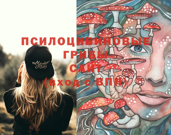гашик Алзамай
