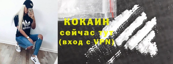 гашик Алзамай