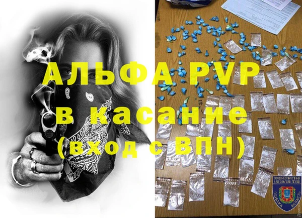 гашик Алзамай