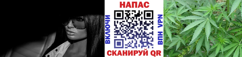 Каннабис конопля  Асино 